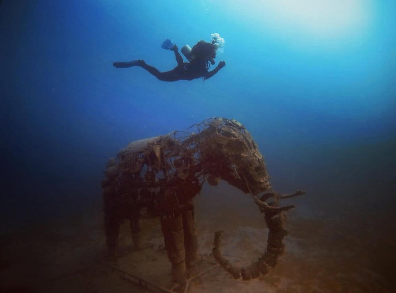 lilly nguyen scuba diving